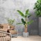Costway 1/2 PCS 5.5 FT Tall Artificial Banana Tree with 10 Large Leaves Double Stalks Natural Bark